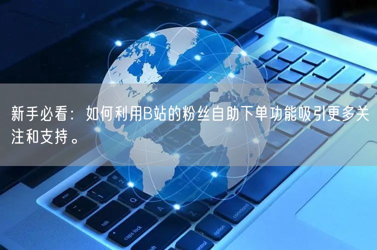 新手必看：如何利用B站的粉丝自助下单功能吸引更多关注和支持。