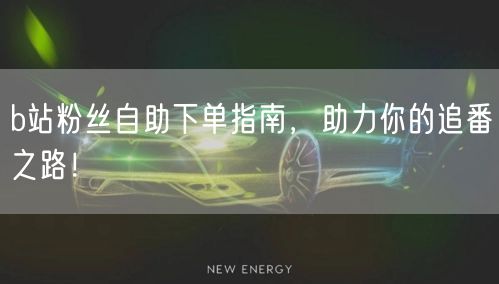 b站粉丝自助下单指南，助力你的追番之路！