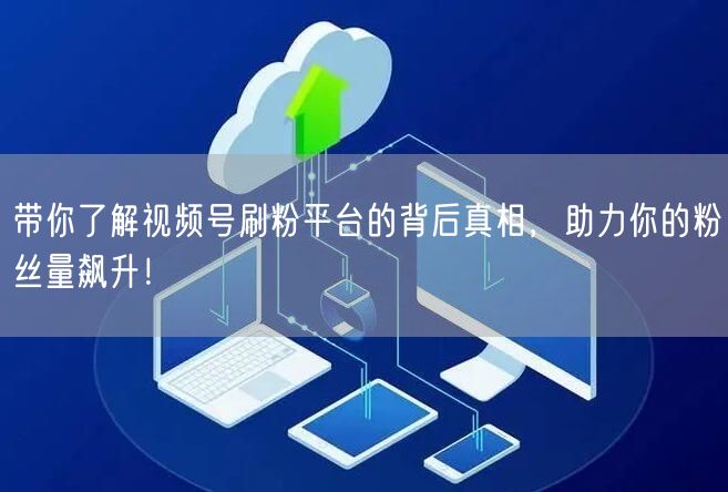 带你了解视频号刷粉平台的背后真相，助力你的粉丝量飙升！