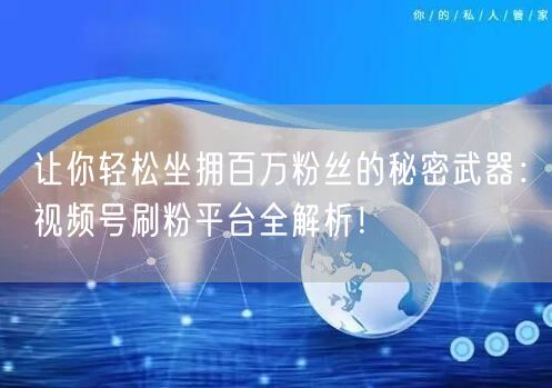 让你轻松坐拥百万粉丝的秘密武器：视频号刷粉平台全解析！