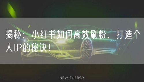 揭秘：小红书如何高效刷粉，打造个人IP的秘诀！