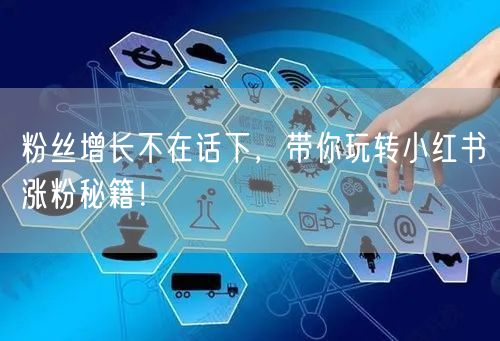 粉丝增长不在话下，带你玩转小红书涨粉秘籍！