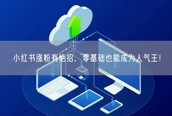 小红书涨粉有绝招，零基础也能成为人气王！