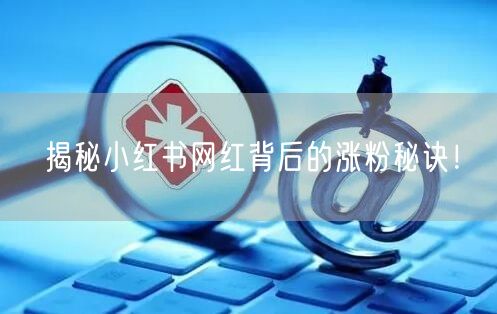 揭秘小红书网红背后的涨粉秘诀！