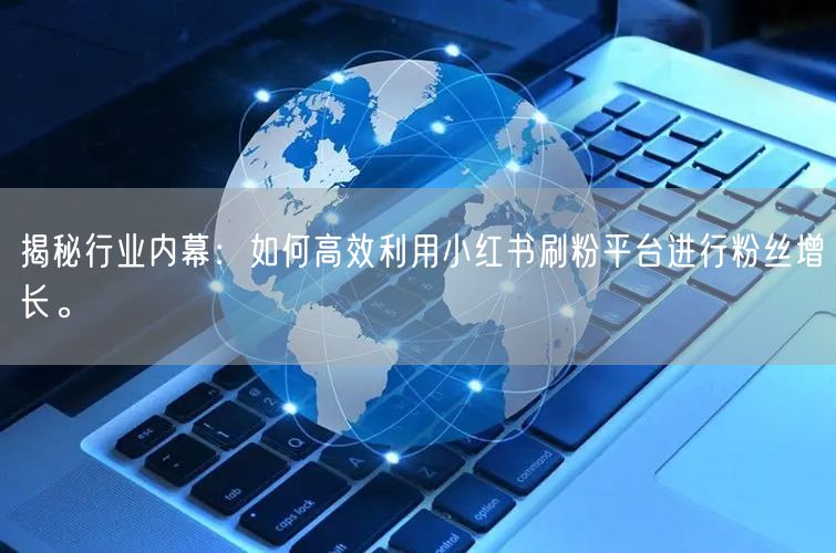 揭秘行业内幕：如何高效利用小红书刷粉平台进行粉丝增长。