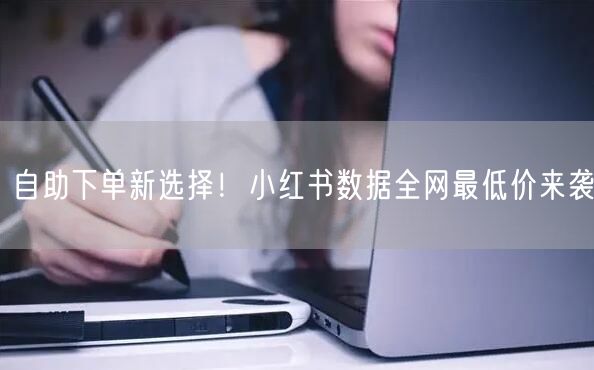 自助下单新选择！小红书数据全网最低价来袭