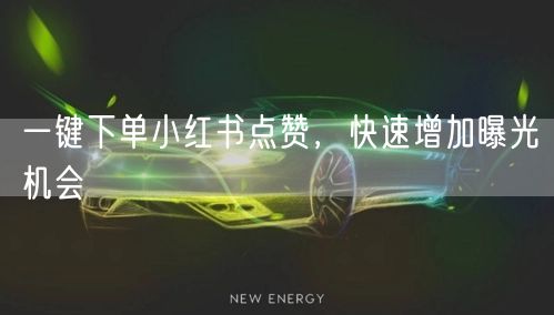 一键下单小红书点赞，快速增加曝光机会
