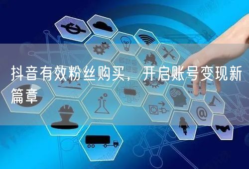 抖音有效粉丝购买，开启账号变现新篇章