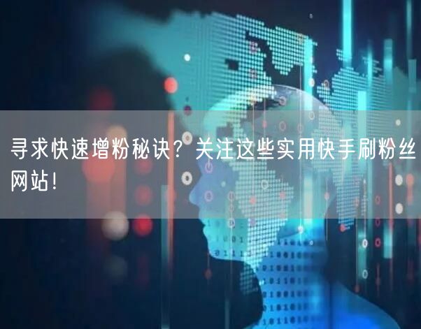 寻求快速增粉秘诀？关注这些实用快手刷粉丝网站！